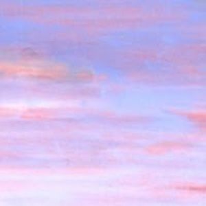 Meet your Posher, Mackenzie